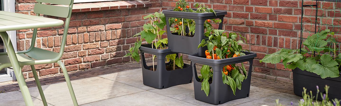 green basics stack & grow large living schwarz